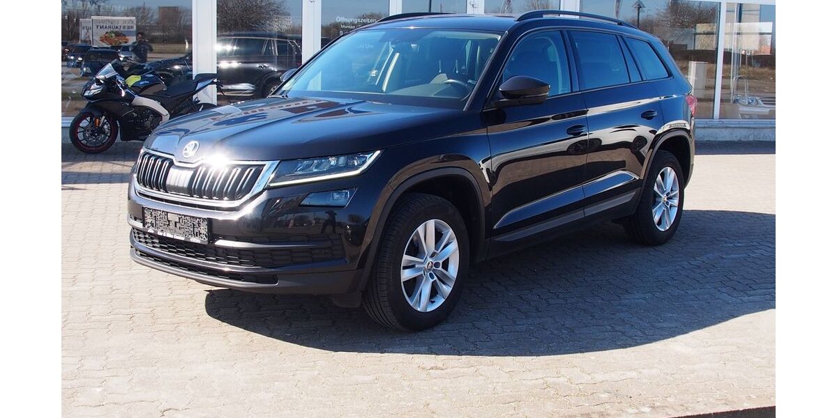 Skoda Kodiaq 183.271 km 16.298 &euro; Pampow 19075
