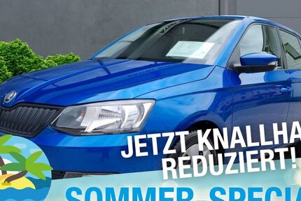 Skoda Fabia 47.819 km 12.370 &euro; Marktredwitz 95615