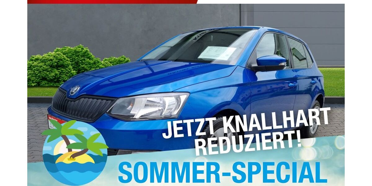 Skoda Fabia 47.819 km 12.370 &euro; Marktredwitz 95615
