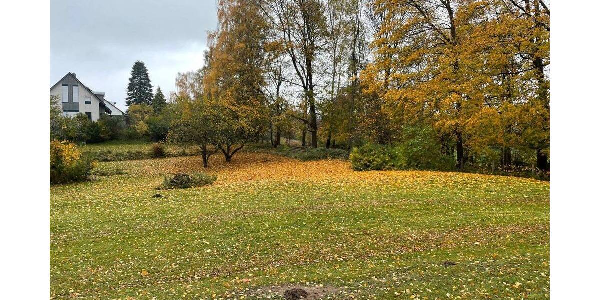 Grundstück Schellhorn - 995.000&euro; | Angebot:25747769