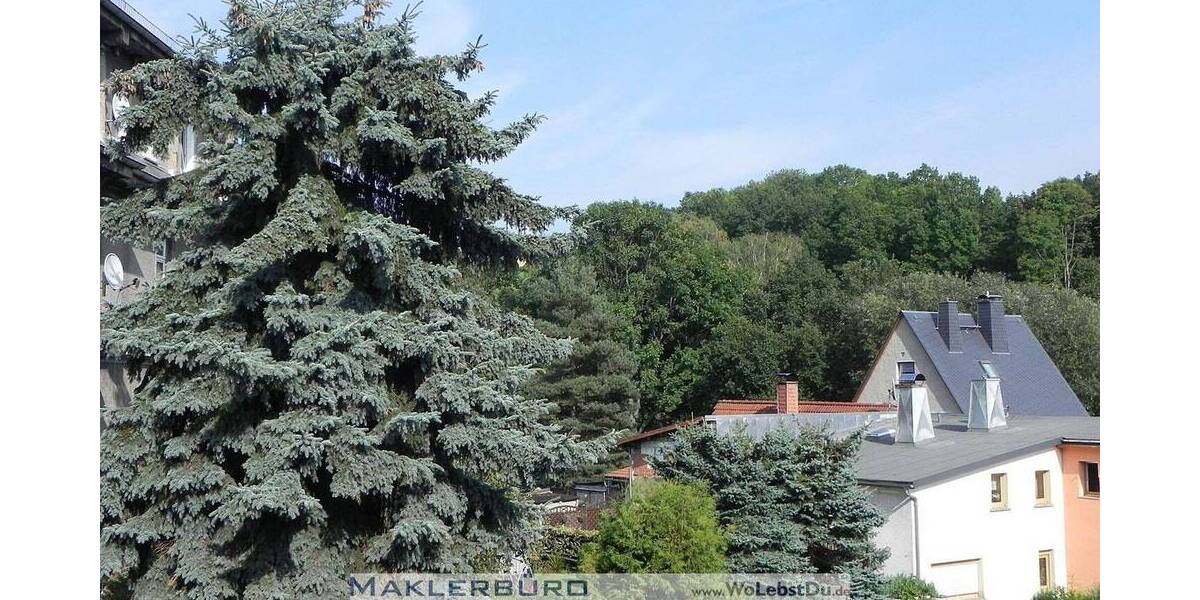 Etagenwohnung Greiz - 2 Zimmer, 61 m&sup2;, 49.000&euro; | Angebot:25729317