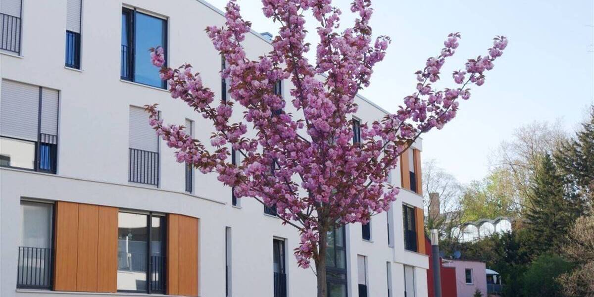 Zimmer Mönchengladbach Stadtmitte - 4 Zimmer, 128 m&sup2;, 1.714&euro; | Angebot:26453952