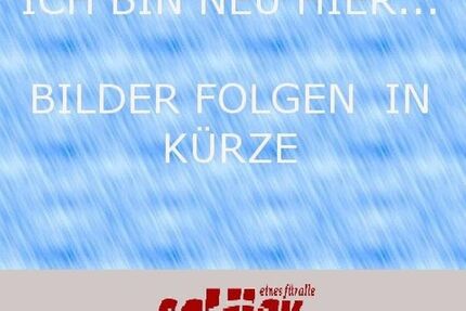 Fiat 500X 61.250 km 13.690 € Weinsberg 74189