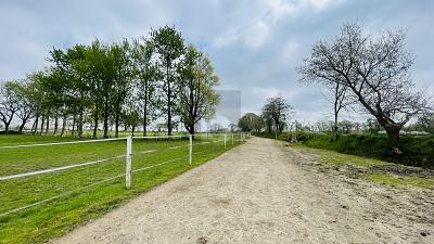 RESTHOF AM REITERHOF - Einfamilienhaus Oldersbek | Angebot:26421150