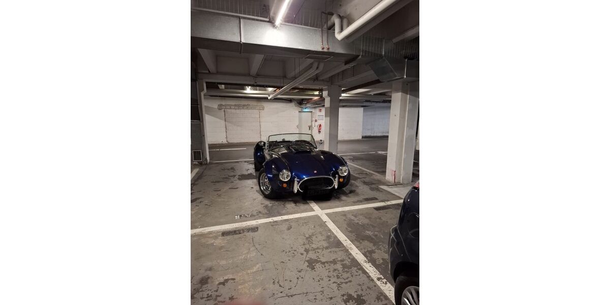 Cobra Andere 14.000 km 58.000 &euro; Mannheim 68309