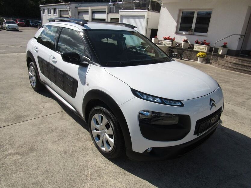 C4 Cactus