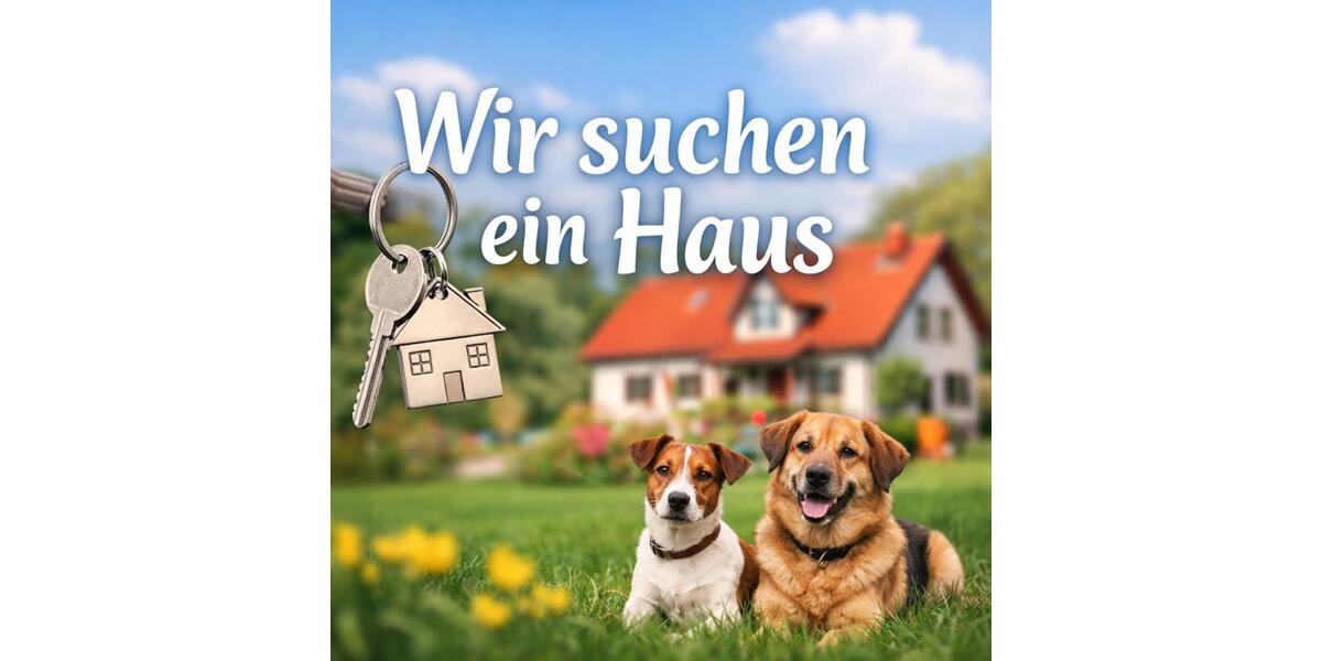 Einfamilienhaus Ergolding - 5 Zimmer, 100 m&sup2;, 950&euro; | Angebot:25046978