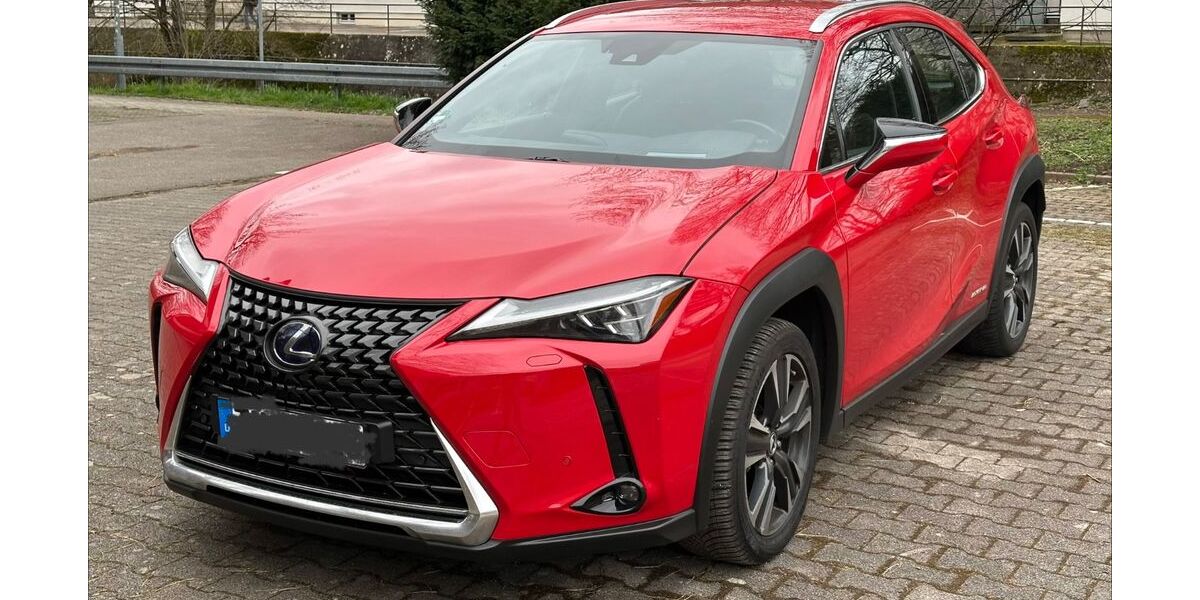 Lexus UX 81.000 km 25.000 &euro; Tübingen 72074