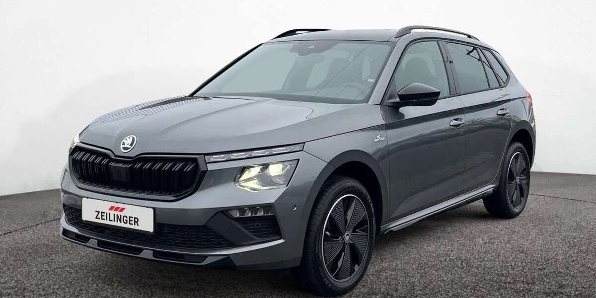 Skoda Kamiq 1.010 km 28.969 &euro; Dietersheim 91463