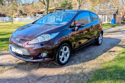 Ford Fiesta 253.357 km 2.899 &euro; Dellien 19273