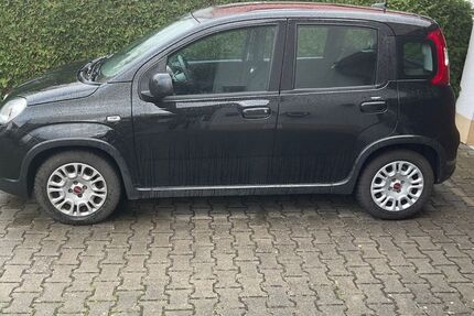 Fiat Panda 8.800 km 10.400 € Herzogenaurach 91074