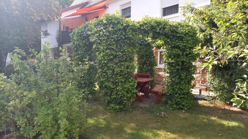 Einliegerwohnung voll möbliert - Warmmiete - zeitlich begrenzt 2 zimmer