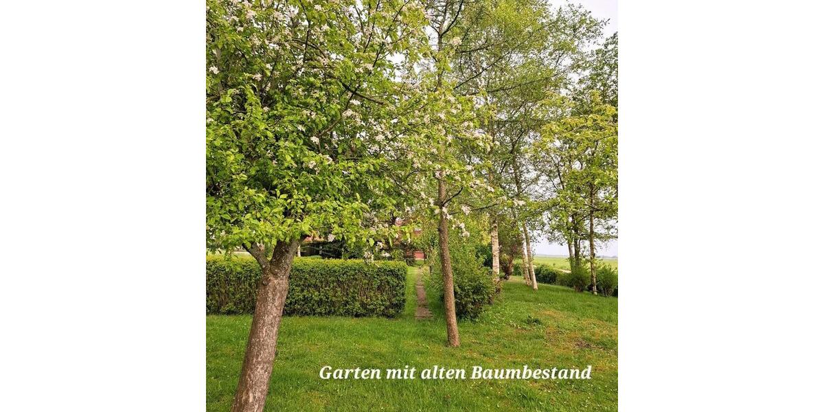 Einfamilienhaus Nordenham - 6 Zimmer, 150 m&sup2;, 340.000&euro; | Angebot:26987382