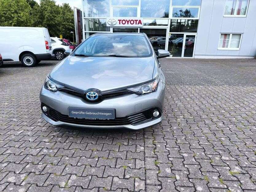 Auris