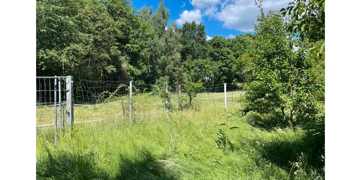 Einfamilienhaus Weißwasser (Oberlausitz) - 7 Zimmer, 180 m&sup2;, 150.000&euro; | Angebot:26943079