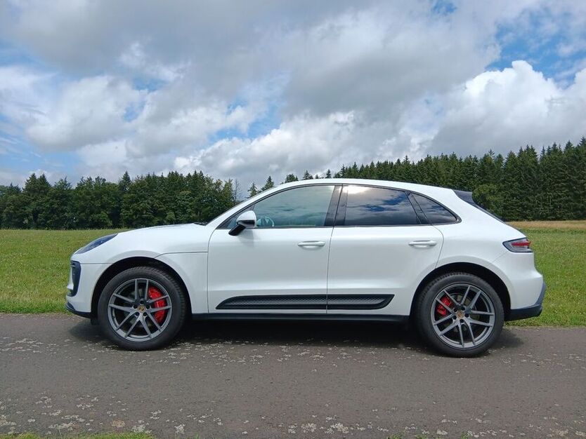 Macan