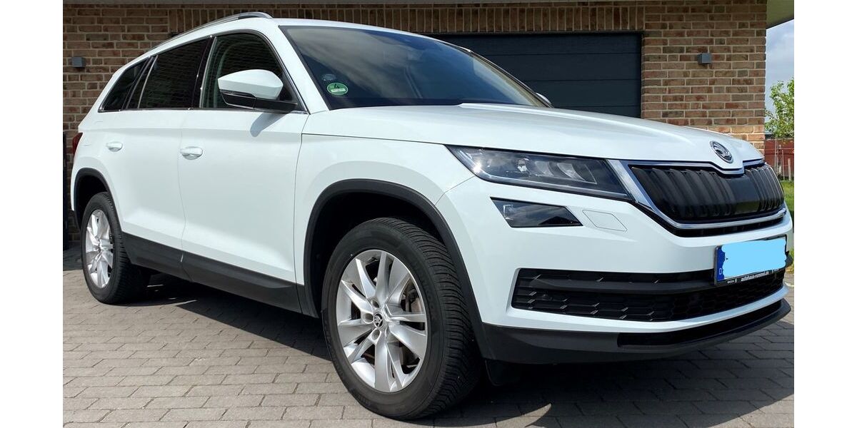 Skoda Kodiaq 172.200 km 18.300 &euro; Bremervörde 27432
