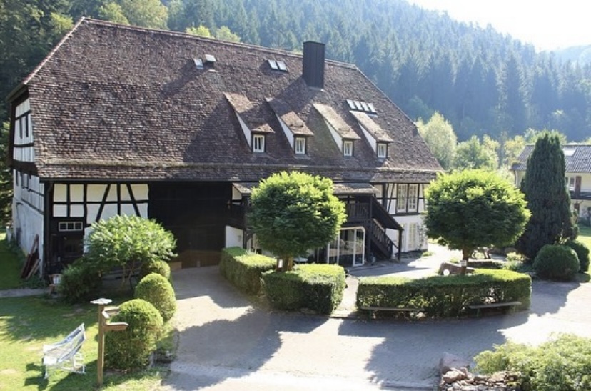 Helles Wohnappartement mit Balkon und Naturblick - 1.5 Calw (Kreis) | Angebot:26822568