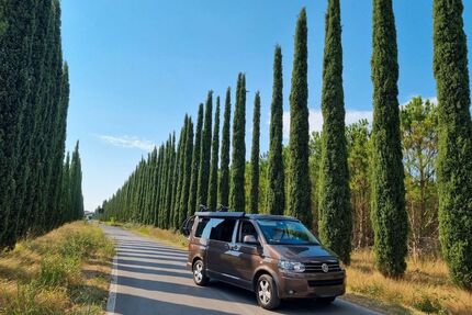 VW T5 California