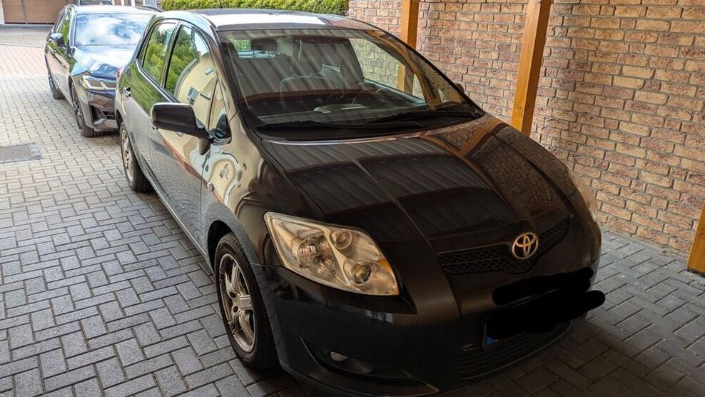 Auris