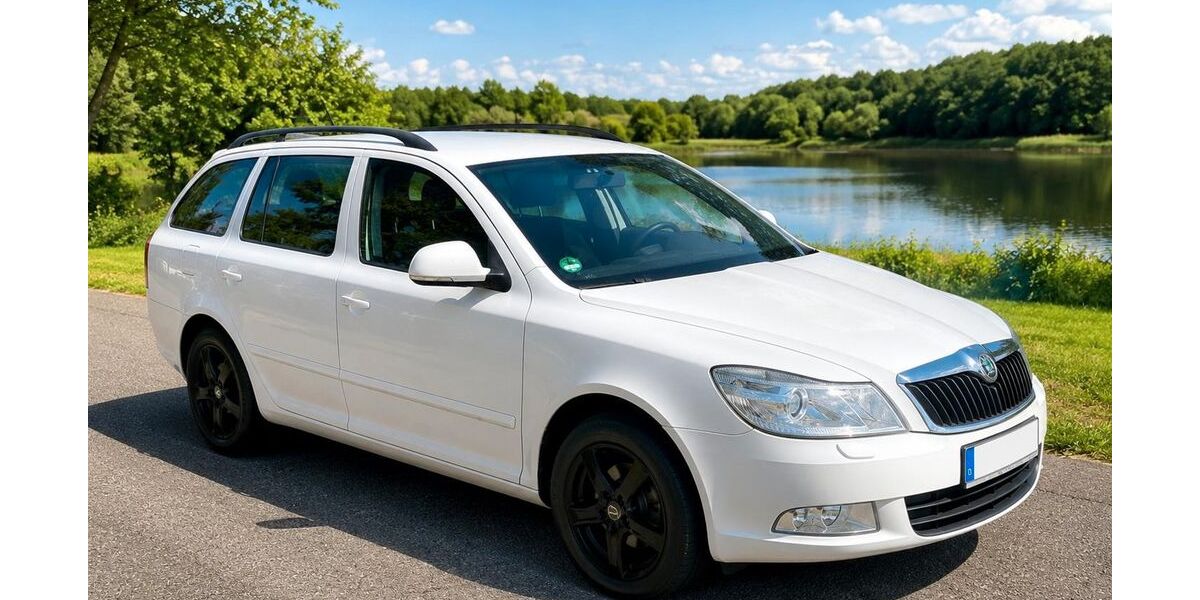 Skoda Octavia 116.000 km 6.800 &euro; Meiningen 98617