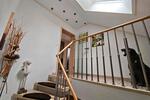Einfamilienhaus Eppingen - 5 Zimmer, 132 m&sup2;, 750.000&euro; | Angebot:26396396