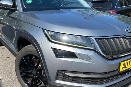 Skoda Kodiaq 260.000 km 16.561 € Mogendorf 56424