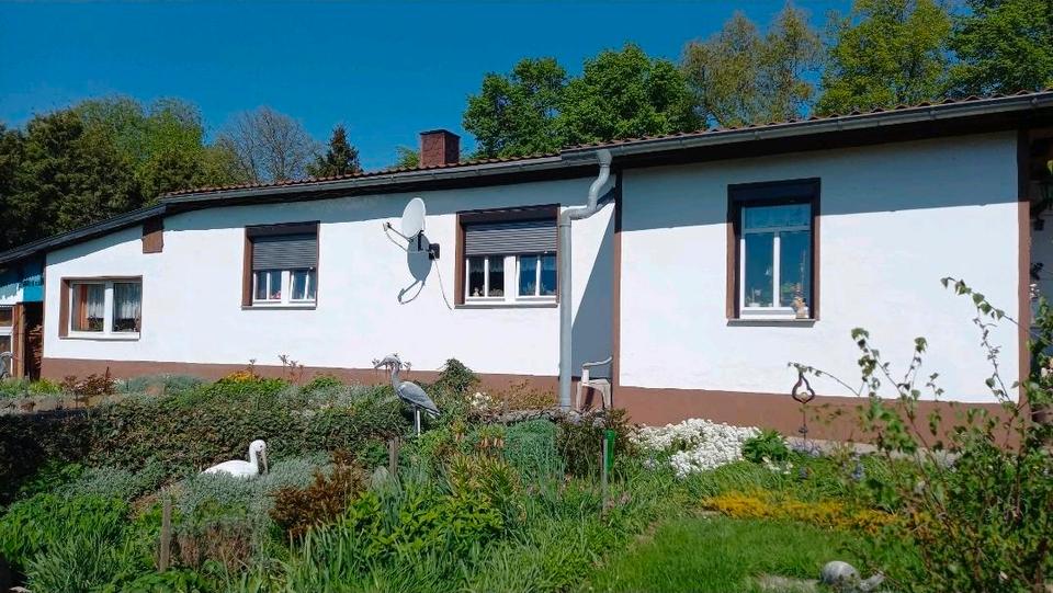 Bungalow Döbeln - 4 Zimmer, 100 m&sup2;, 12.345.678&euro; | Angebot:25842489