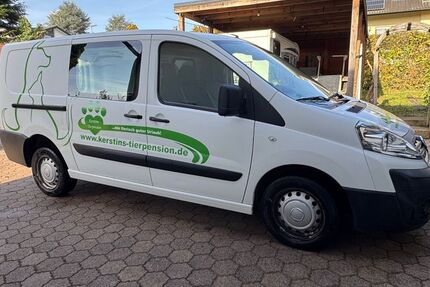 Fiat Scudo 218.720 km 5.500 &euro; Sinsheim 74889