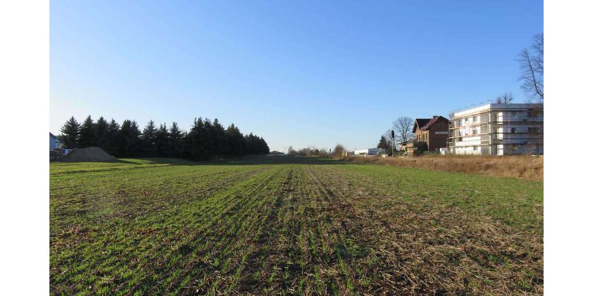 Grundstück Tauche Lindenberg - 150.000&euro; | Angebot:19216512