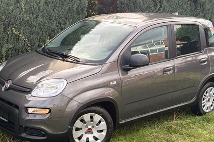 Fiat Panda 57.250 km 9.999 &euro; Gronau-Epe 48599