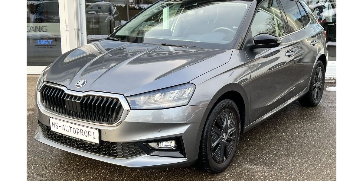 Skoda Fabia 36.205 km 17.490 &euro; Trossingen 78647