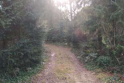 Grundstück Wedemark - 300.000&euro; | Angebot:24567220