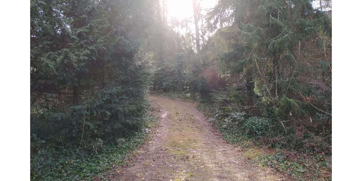 Grundstück zu verkaufen in Wedemark 650.000 € 2728 m² zimmer