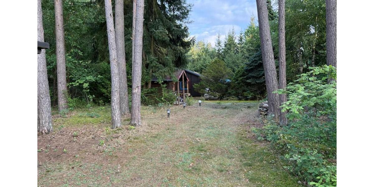 Einfamilienhaus Bienenbüttel - 1 Zimmer, 40 m&sup2;, 60.000&euro; | Angebot:26225903