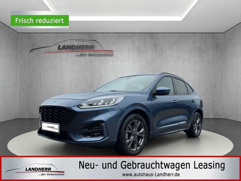 Kuga