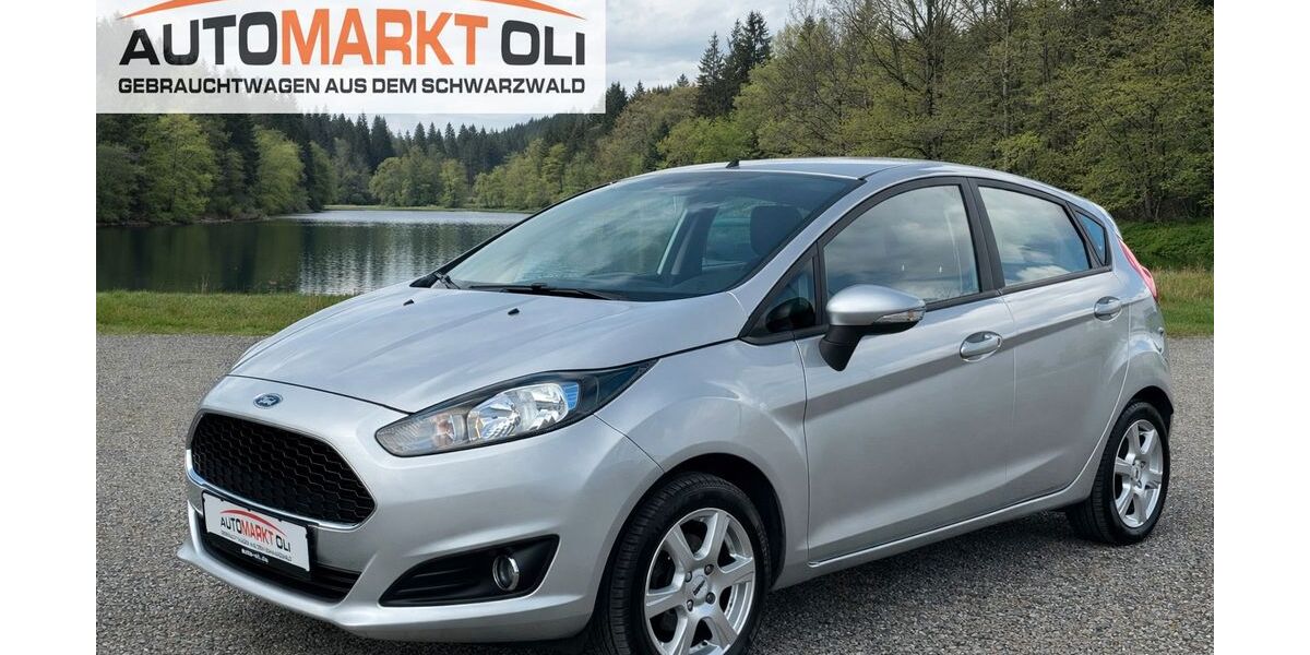 Ford Fiesta 190.000 km 4.290 &euro; Pfalzgrafenweiler 72285