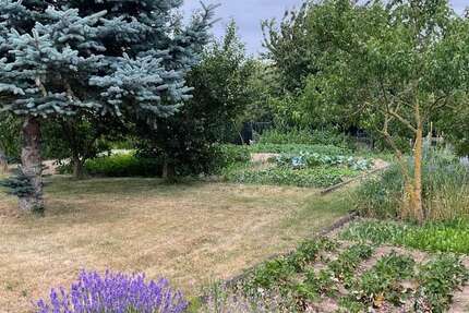 Grundstück Eichenbarleben Eichenbarleben - 70.000&euro; | Angebot:21678931