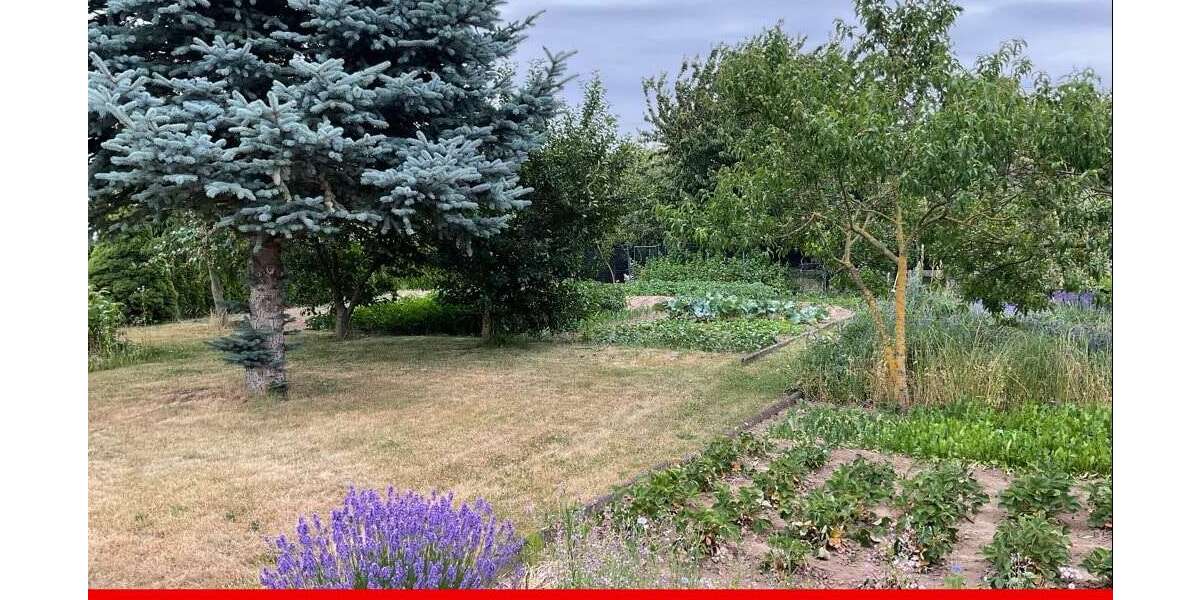 Grundstück Eichenbarleben Eichenbarleben - 70.000&euro; | Angebot:21678931