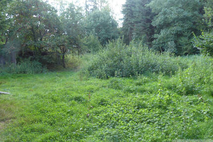 Grundstück Steinau an der Straße Ulmbach - 76.000&euro; | Angebot:24115184