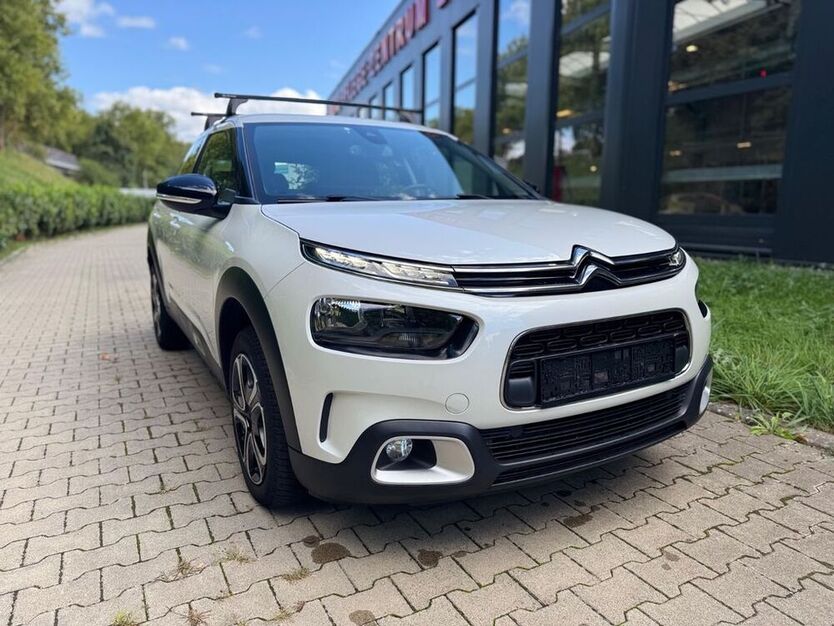 C4 Cactus