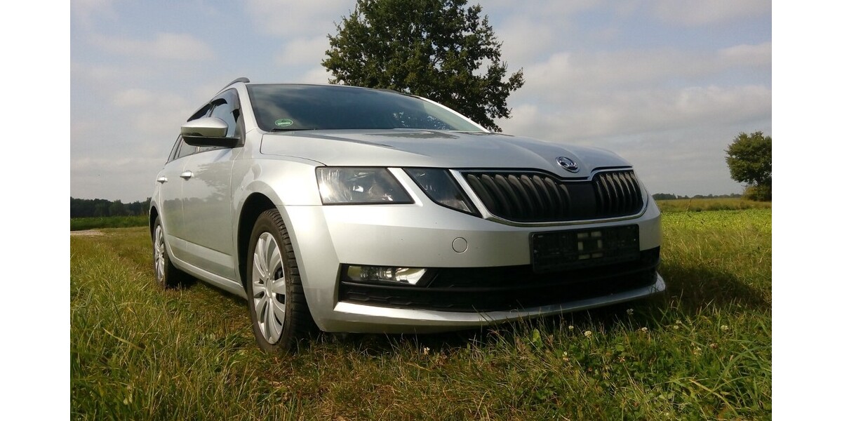 Skoda Octavia 240.420 km 8.300 &euro; Wrestedt 29559