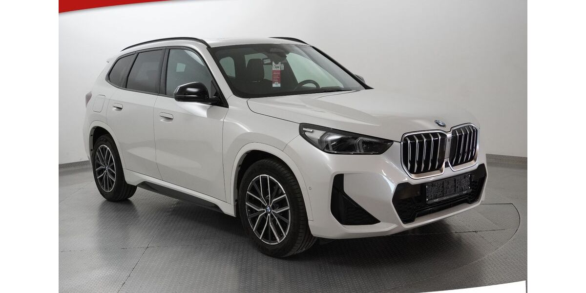 BMW X1 93.335 km 31.350 &euro; Bebra 36179