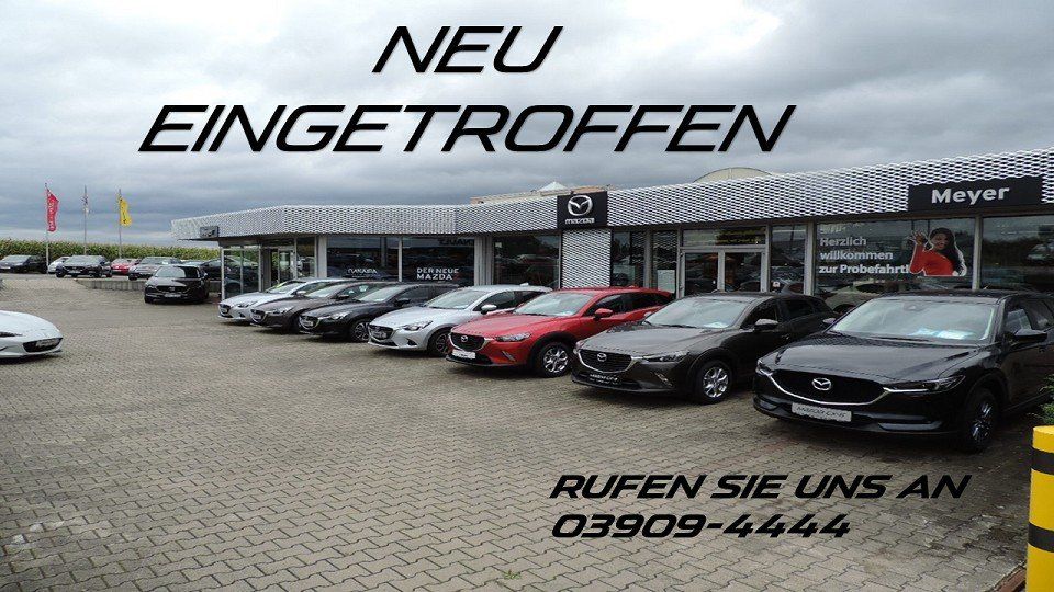 Opel Zafira Life 137.167 km 21.930 &euro; Klötze 38486