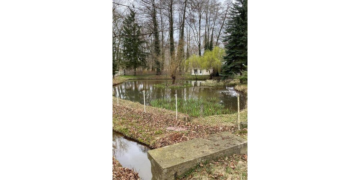 Bungalow Forst (Lausitz) - 5 Zimmer, 110 m&sup2;, 149.000&euro; | Angebot:27086751