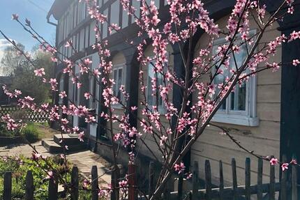 Wunderschönes und mit Liebe saniertes Umgebindehaus 6 zimmer