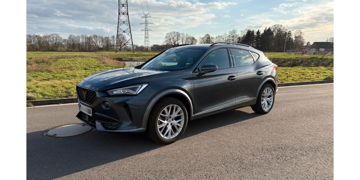 Cupra Formentor 55.000 km 26.900 &euro; Cloppenburg 49661