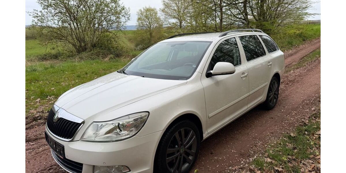 Skoda Octavia 91.000 km 7.999 &euro; Bergweiler 54518