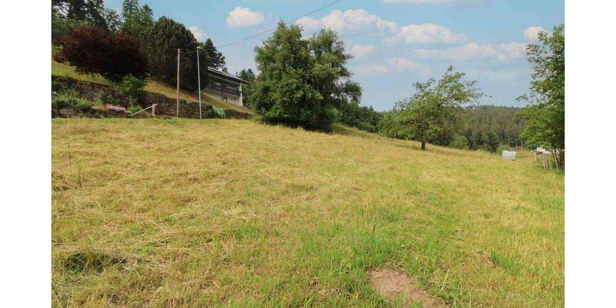 Grundstück Bad Wildbad Sprollenhaus - 124.500&euro; | Angebot:25167852