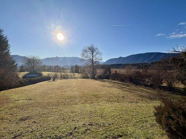 Atemberaubender Berg- und Weitblick: Grundstück mit Altbestand in erster Reihe am Murnauer Moos zimmer